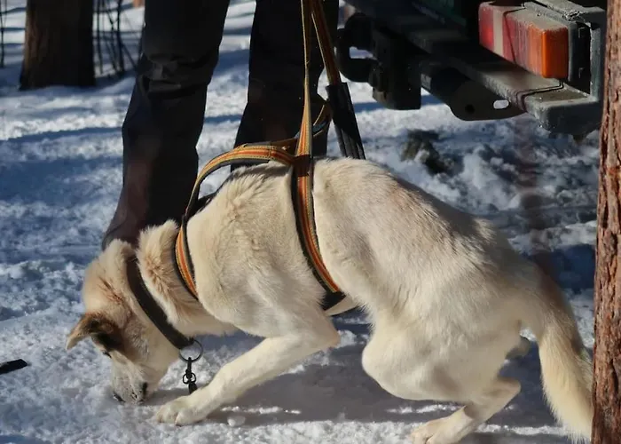 New Magnificent View Near The Centre