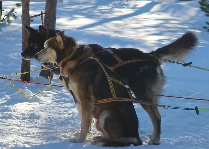 New Magnificent View Near The Centre Apartamento